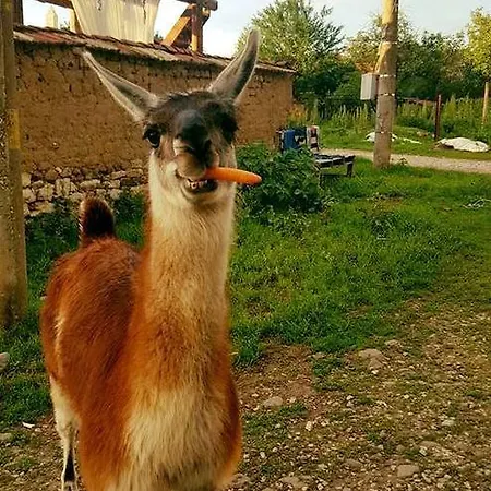 Ostava.me